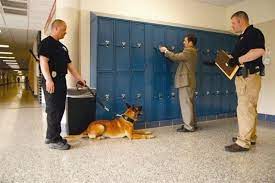 K-9 Protection For Schools in New Jersey